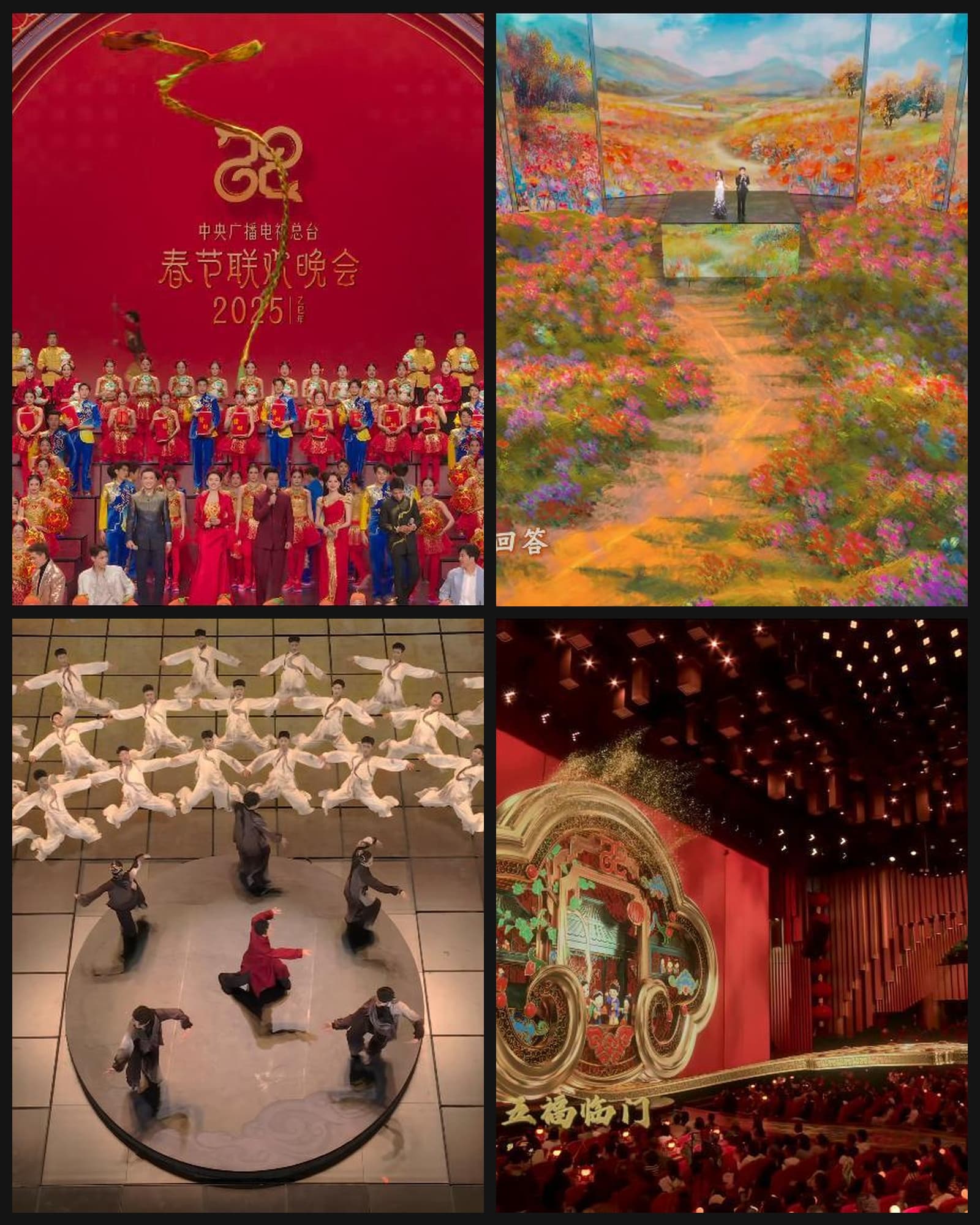 Spring Festival Gala case